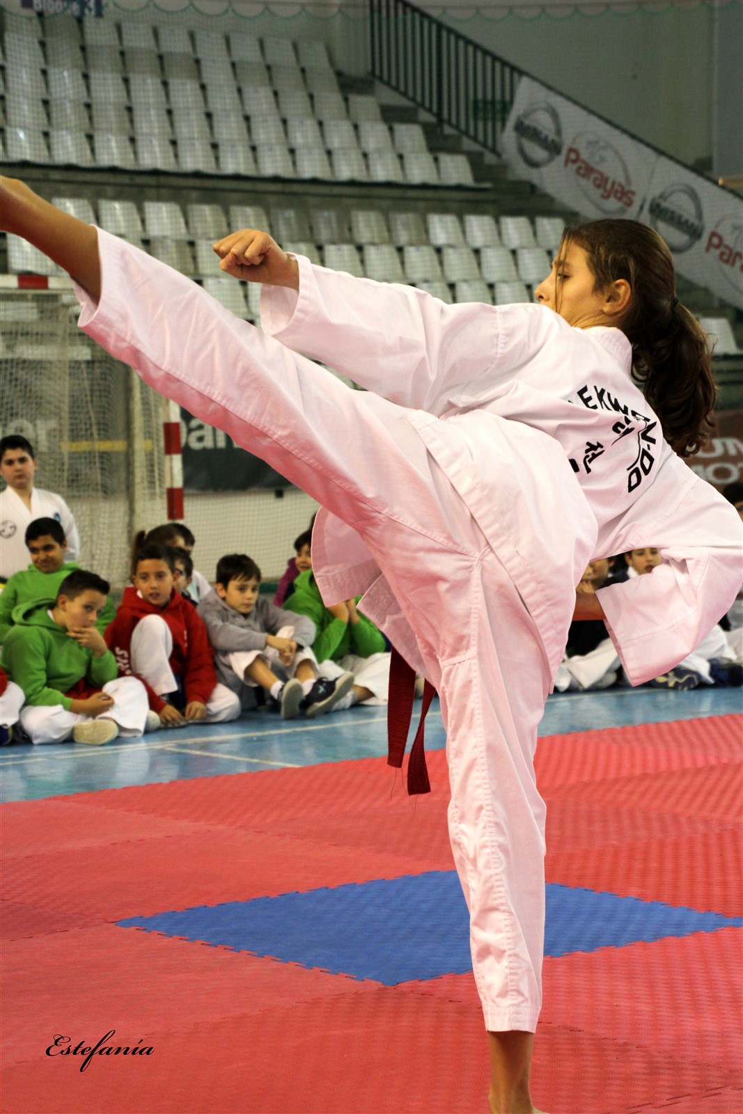 Taekwondo (181).jpg